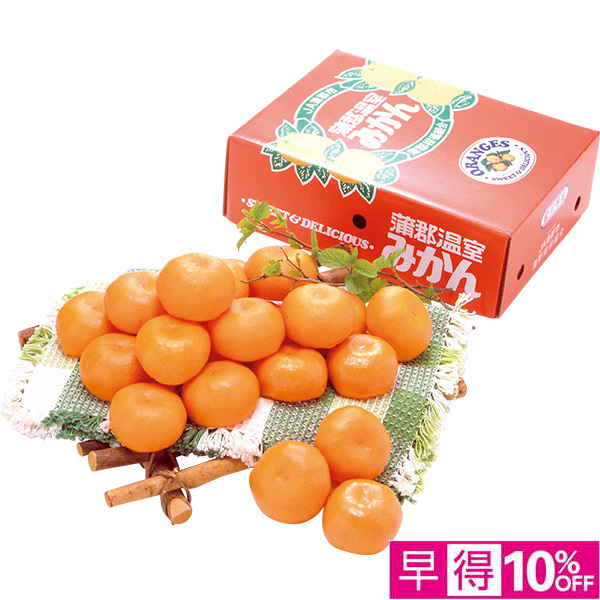 ◇【早得】[愛知県産（JA蒲郡市）]蒲郡ハウスみかん【148966】 商品サムネイル