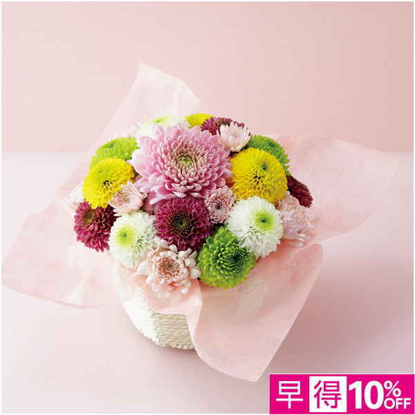 【母の日早得】茨木春草園 フラワーアレンジ「マカロンケーキ」【484497】 商品サムネイル