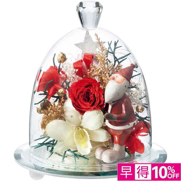 【早得12/10まで】Luna ジュエル・フルール「クリスマス」 【165237】【冬☆】 商品サムネイル