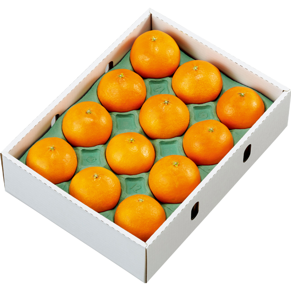 ☆【早得】愛媛県産 紅まどんな 【030029】 商品画像(3)