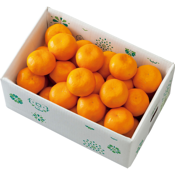 ☆【早得】トップバリュ 減の恵み 和歌山県産 有田みかん 【035033】 商品画像(1)