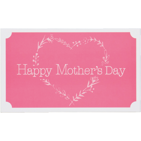 【母の日早得】和歌山県産 冷やしあんぽ柿(ミニ造花付)【484220】 商品画像(4)