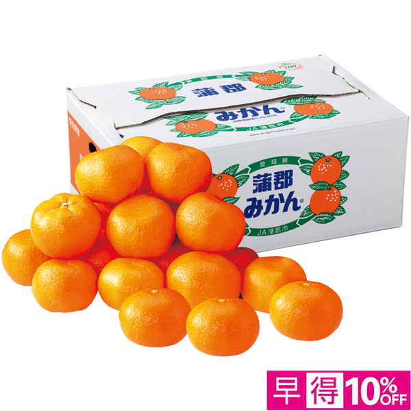【早得12/8まで】愛知県産 蒲郡みかん5kg 【162610】【冬☆】 商品サムネイル