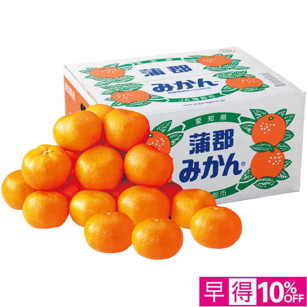 【早得12/8まで】愛知県産 蒲郡みかん10kg 【162629】【冬☆】 商品サムネイル