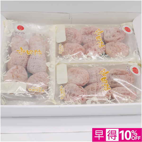 【母の日早得】長野県産 干し柿「市田柿」【484257】 商品サムネイル