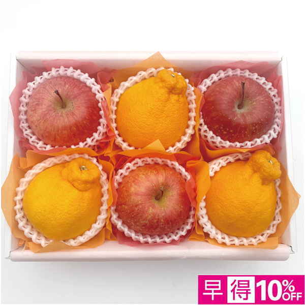 【母の日早得】青森県産・愛知県産 ふじりんごとデコポンの詰合せ【484248】 商品サムネイル