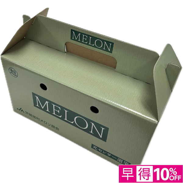 【母の日早得】茨城県産 旭村アンデスメロン【483841】 商品サムネイル