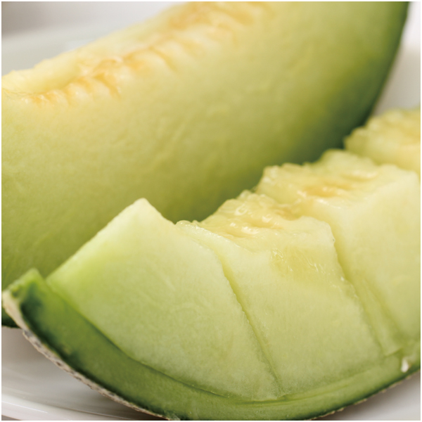 【母の日早得】茨城県産 旭村アンデスメロン【483841】 商品画像(1)