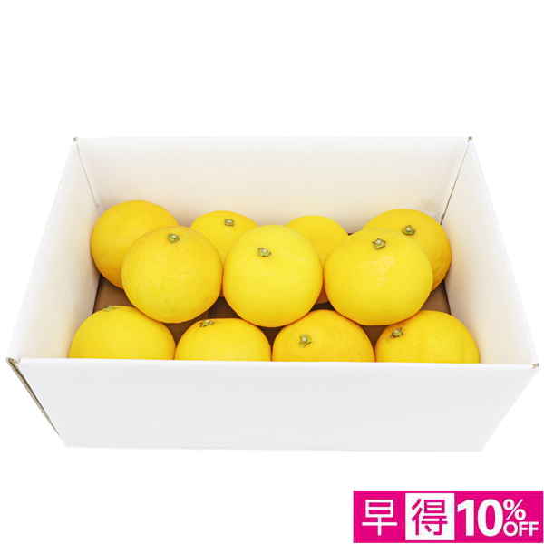【父の日早得】高知県産 小夏 2kg【486741】 商品サムネイル