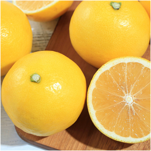 【父の日早得】高知県産 小夏 2kg【486741】 商品画像(1)