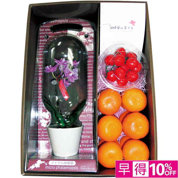 【母の日早得】 マイクロ胡蝶蘭と愛媛県産カラマンダリンと山形県産さくらんぼセット【483869】 商品サムネイル