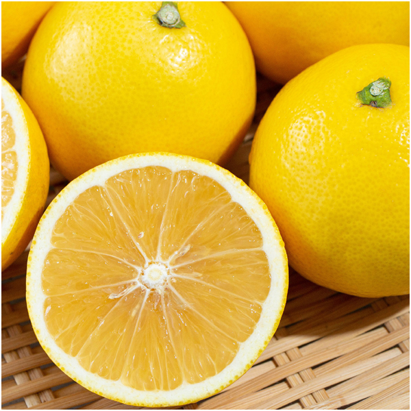 【母の日早得】高知県産 小夏 5kg【483823】 商品画像(1)