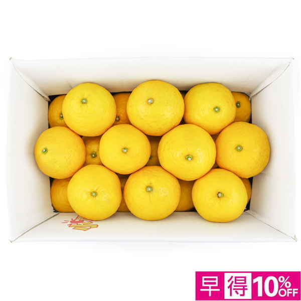 【父の日早得】高知県産 小夏 5kg【486750】 商品サムネイル