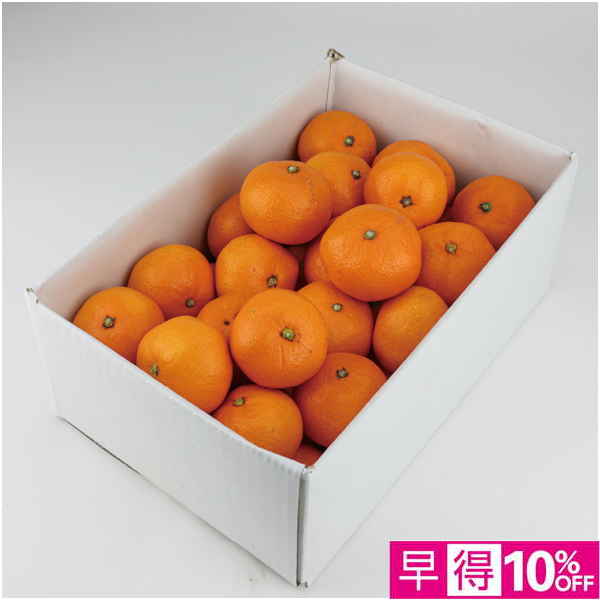 【母の日早得】愛媛県産 カラマンダリン 3kg【483771】 商品サムネイル