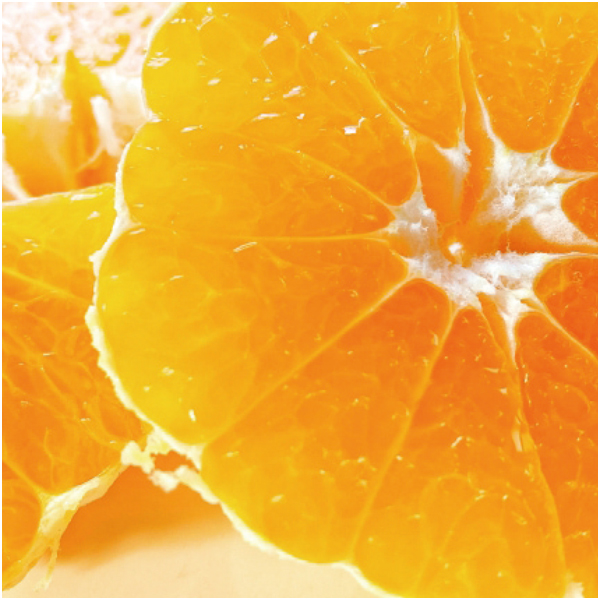 【母の日早得】愛媛県産 カラマンダリン 3kg【483771】 商品画像(1)