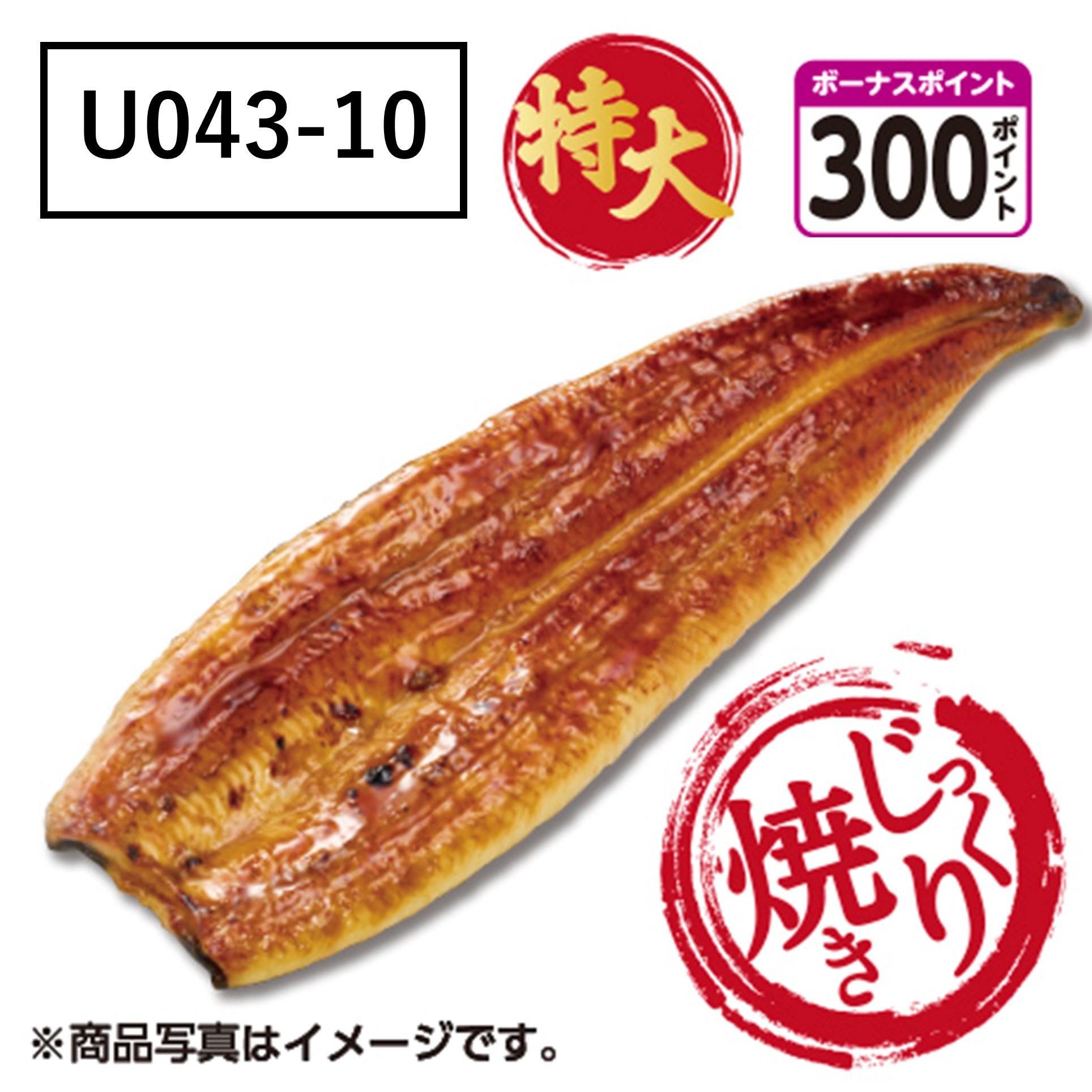 [鹿児島県産] 【無頭じっくり焼き】うなぎ蒲焼　特大サイズ【U04310】[300ボーナスポイント]【二の丑】 商品サムネイル