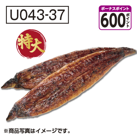 [宮崎県産] 【八本木樽】うなぎ蒲焼　特大サイズ【U04337】[600ボーナスポイント]【二の丑】★ 商品サムネイル
