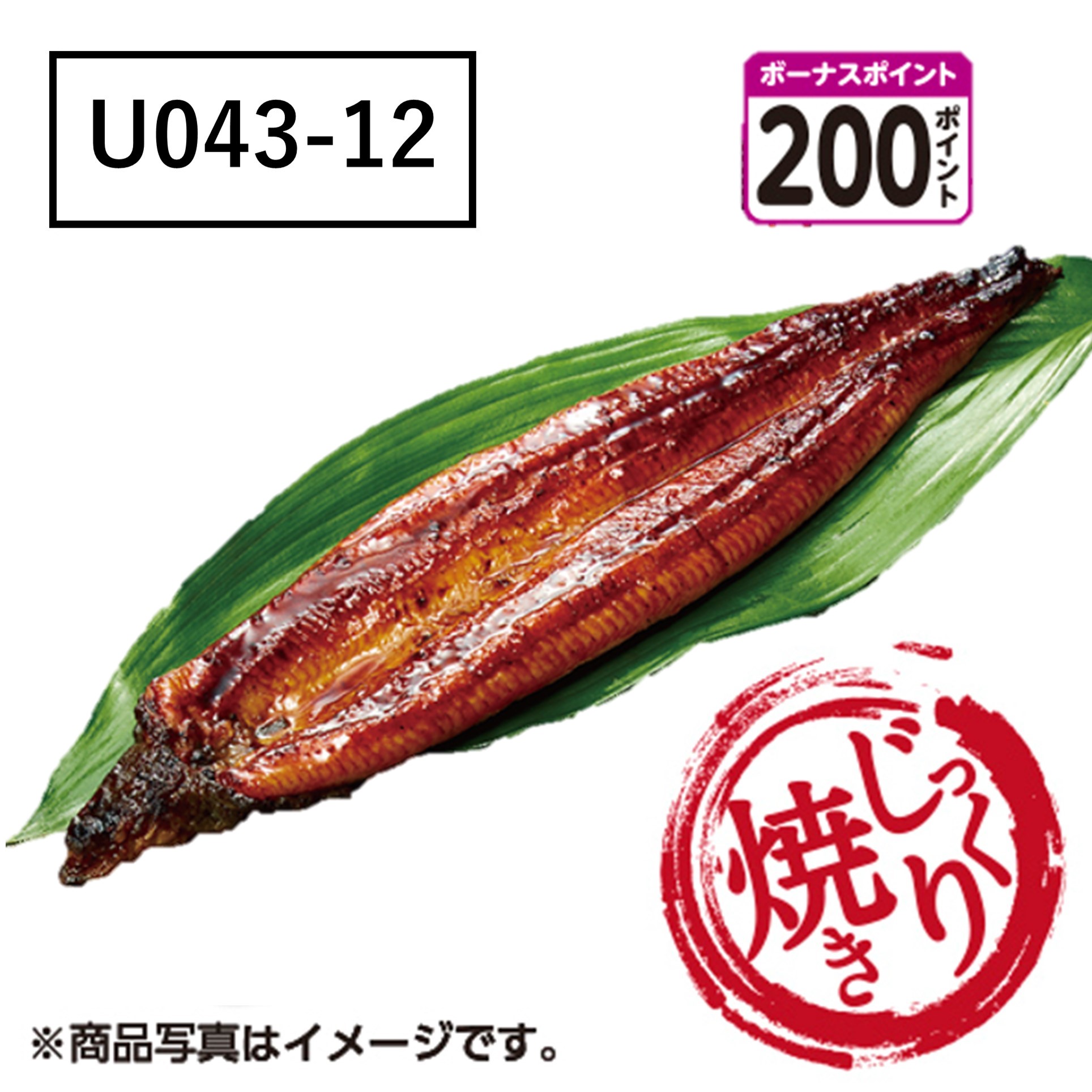 [鹿児島県産] 【有頭じっくり焼き】うなぎ蒲焼　大サイズ　【U04312】[200ボーナスポイント]【二の丑】 商品サムネイル