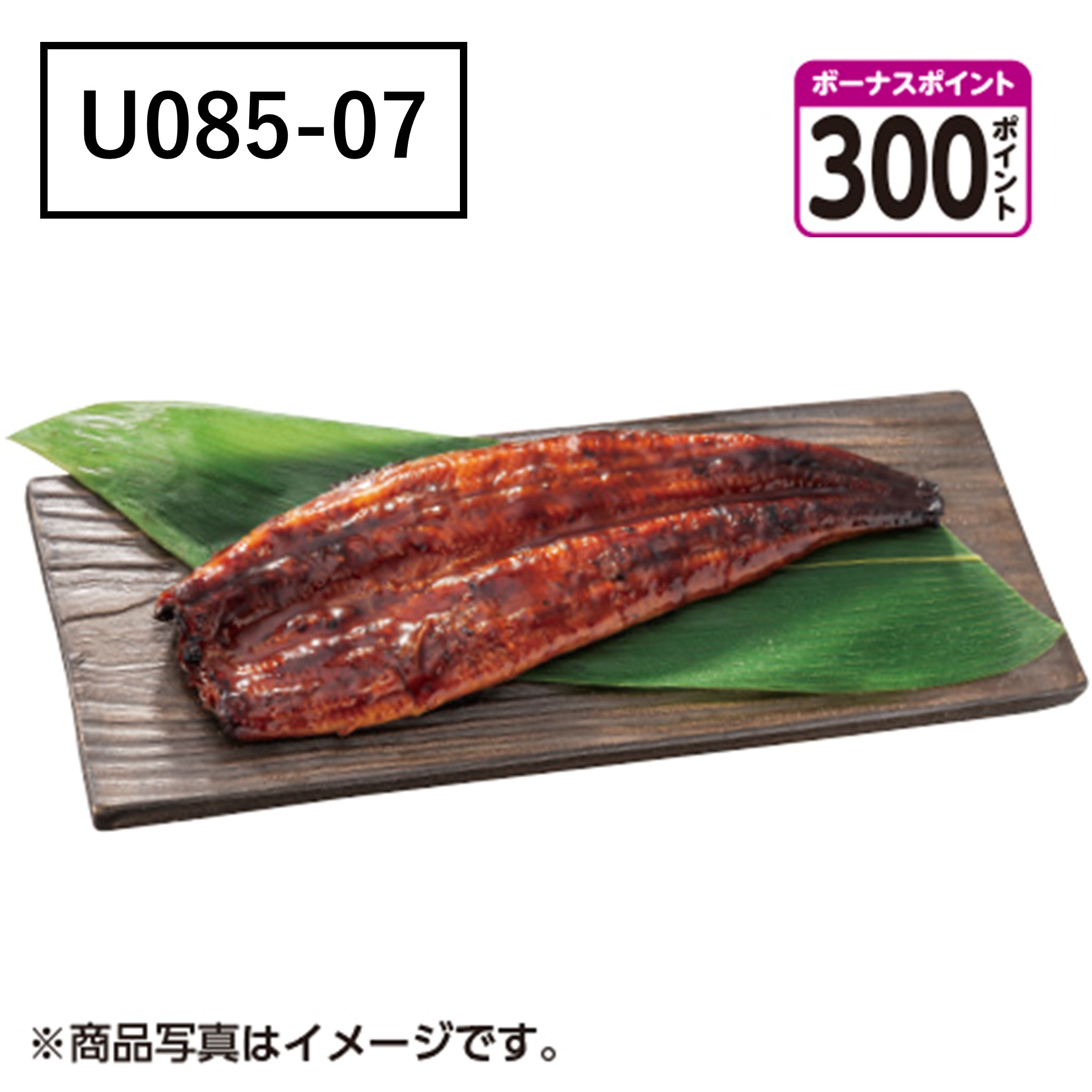 [鹿児島県産]【旨水の鰻】うなぎ蒲焼【U08507】[300ボーナスポイント]【二の丑】 商品サムネイル