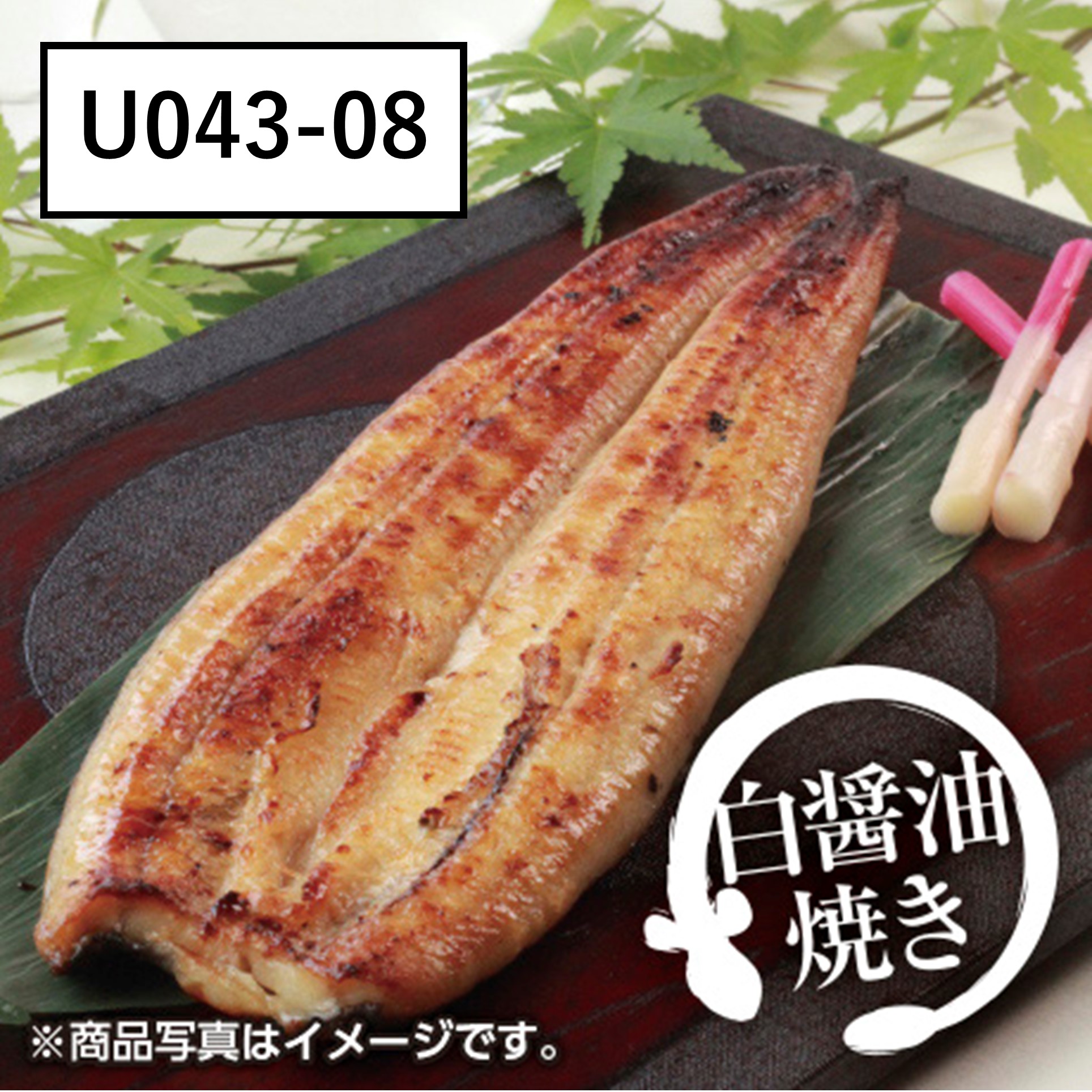 [鹿児島県産] 【山田のうなぎ】うなぎ白醤油焼　大サイズ【U04308】【二の丑】 商品サムネイル