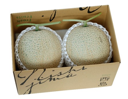 高知県産 マスクメロン2個 （ご家庭用）【送料込み】  【ご予約】 商品サムネイル